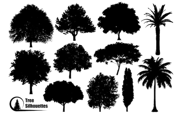 Diferentes tipos de vectores de siluetas de árboles