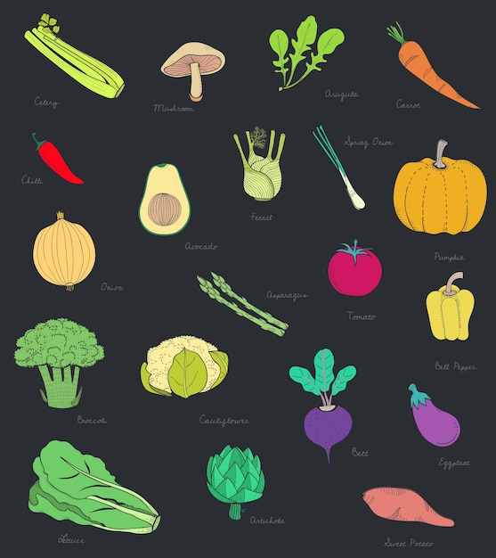 diferentes tipos de vegetales