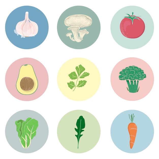diferentes tipos de vegetales