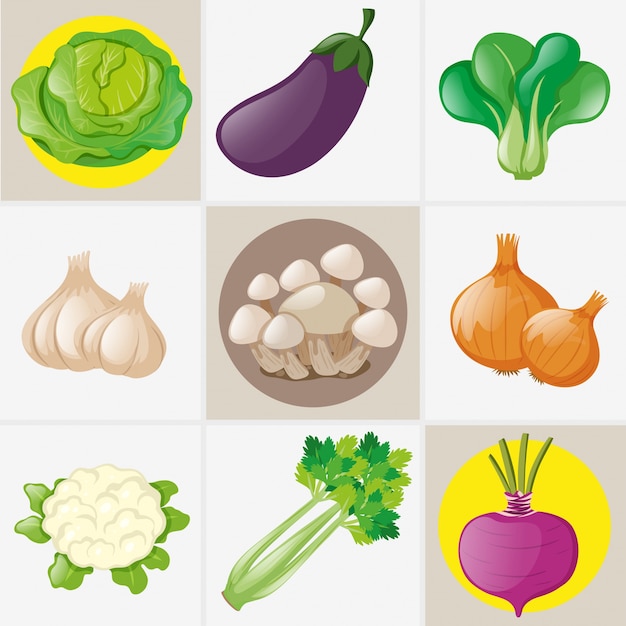 Vector diferentes tipos de verduras frescas