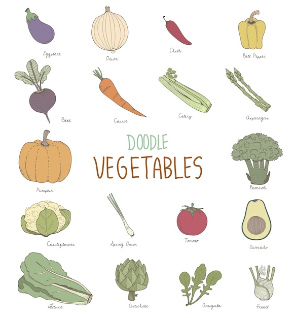 Diferentes tipos de verduras