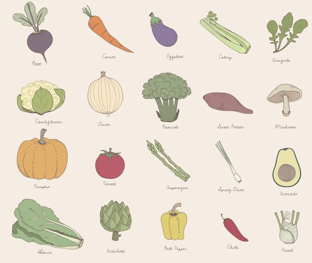 Diferentes tipos de verduras