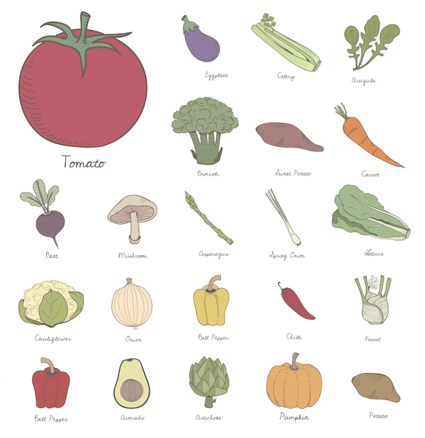 Diferentes tipos de verduras