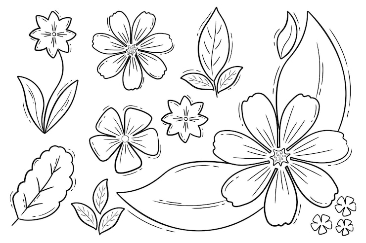 different types of Leaves and Flower doodles
