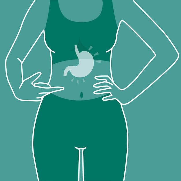 Vector digestión y estómago de cuerpo de mujer