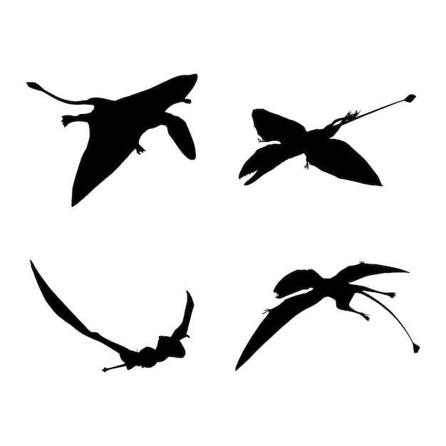 dimorphodon silueta conjunto colección aislado negro sobre fondo blanco ilustración vectorial