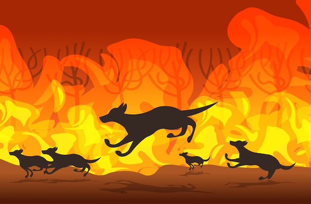 Dingo huyendo de incendios forestales en Australia animales muriendo en incendios forestales bushfire quemando árboles concepto de desastre natural llamas naranjas intensas ilustración vectorial horizontal