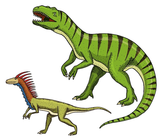 Dinosaurio amplio lagarto esqueletos fósiles Reptiles prehistóricos Animal Dibujado a mano vector antiguo animal dino