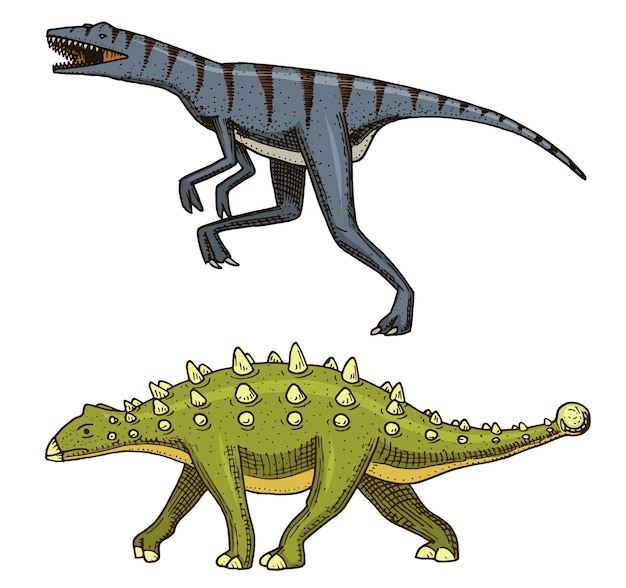 Vector dinosaurio amplio lagarto esqueletos fósiles reptiles prehistóricos animal dibujado a mano vector antiguo animal dino