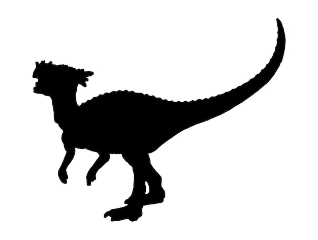 Vector dinosaurio dracorex sobre fondo aislado