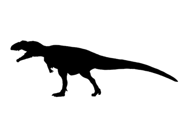 Dinosaurio Giganotosaurus sobre fondo aislado