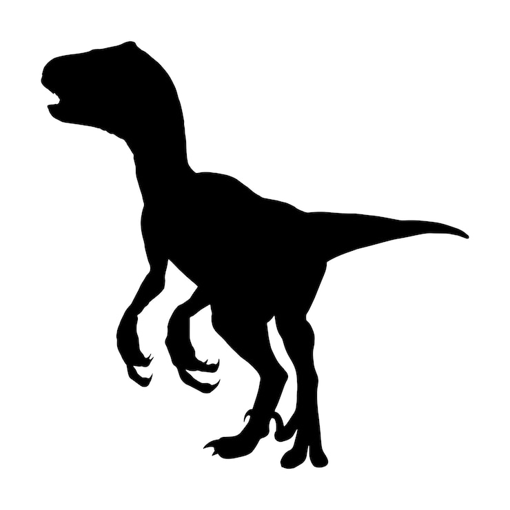Vector dinosaurio raptor silueta negra aislada con fondo blanco