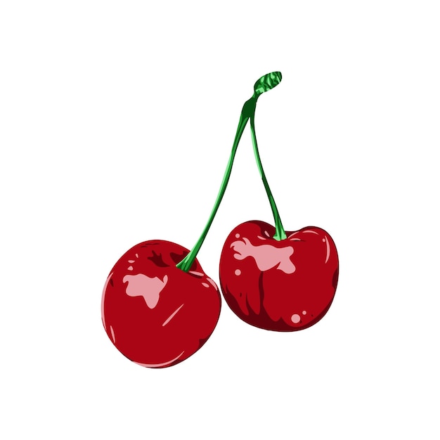 DISEÑO VECTORIAL DE FRUTA DE CEREZO