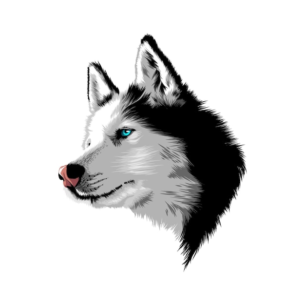 Diseño abstracto de ilustración de vector de lobo