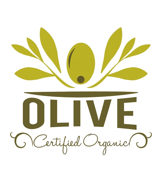 Diseño de aceite de oliva