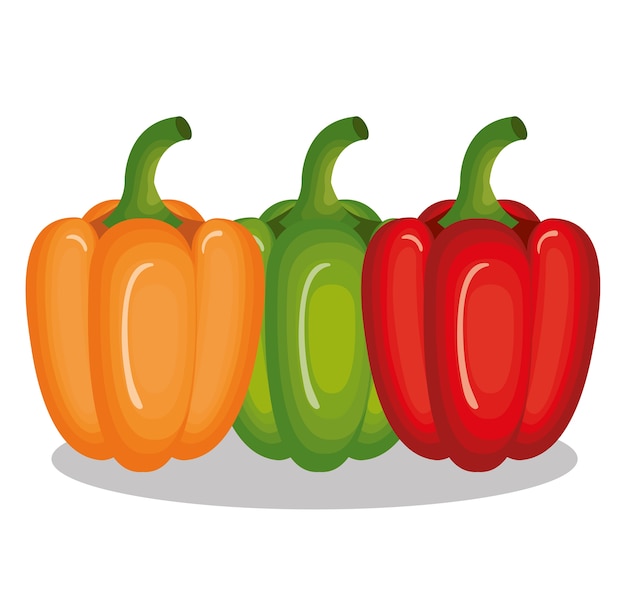 Diseño aislado del ejemplo del vector del icono de las verduras frescas