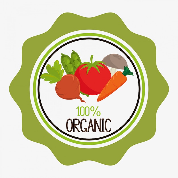 diseño de alimentos saludables