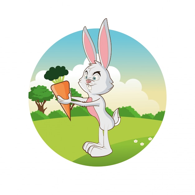 Diseño animal