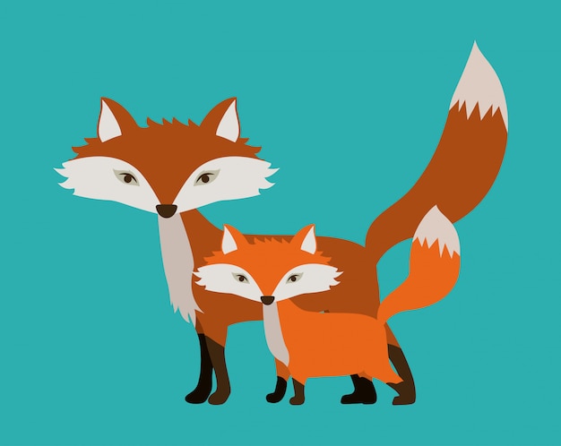 Diseño animal