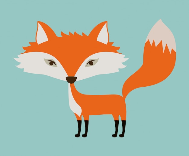 Diseño animal