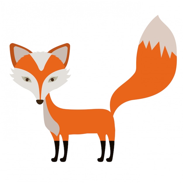 Diseño animal