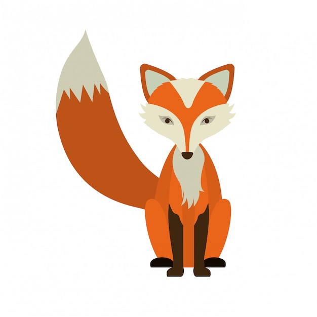 Diseño animal
