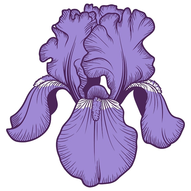 Diseño de arte floral