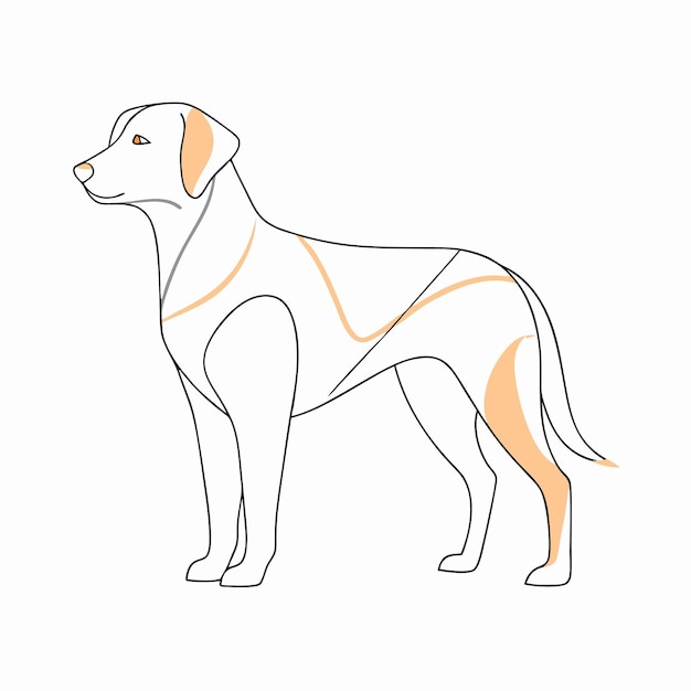 Diseño de arte de línea continua abstracta de perro sobre fondo blanco