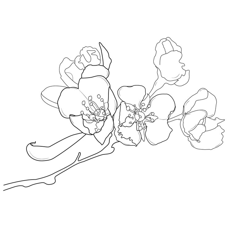 Diseño de arte de línea de flores dibujado a mano floral creativo