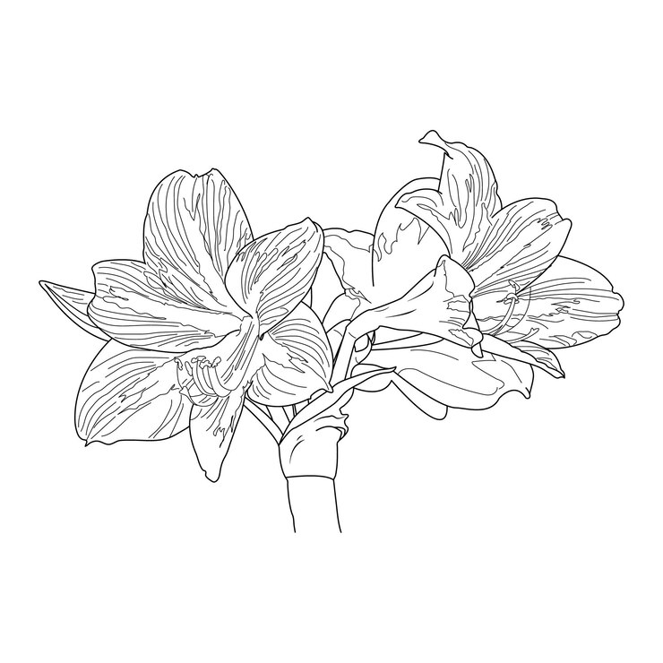 Vector diseño de arte de línea de flores dibujado a mano floral creativo
