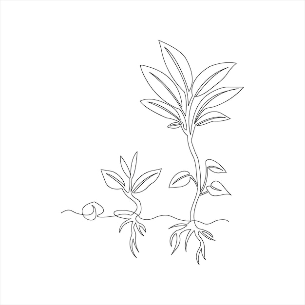 Diseño artístico de dibujos de plantas de una línea continua y hermosa