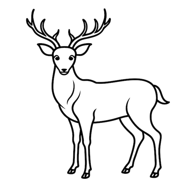 Diseño artístico de la línea DEER