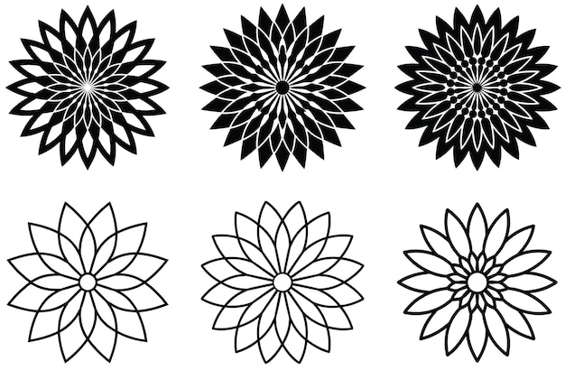Diseño artístico de la línea de flores de crisantemo negro y blanco