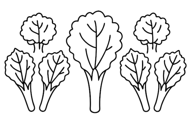 Diseño artístico de la línea de hojas de brócoli