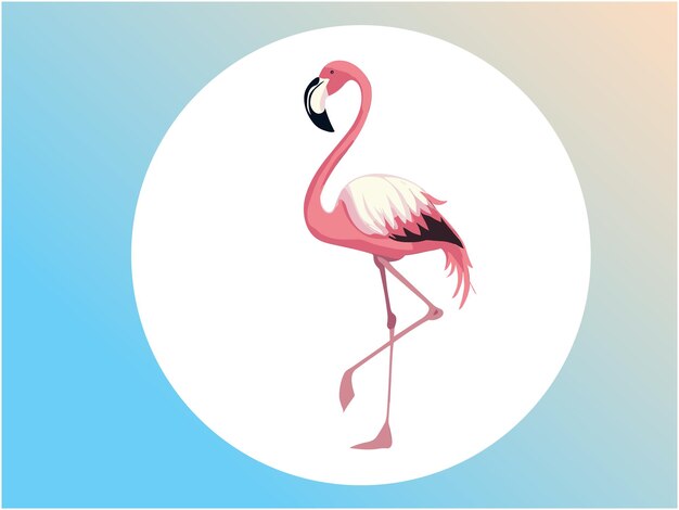 Diseño de aves de arte vectorial de flamenco