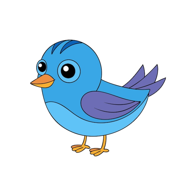 diseño de aves