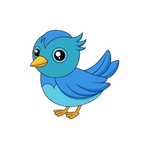 diseño de aves