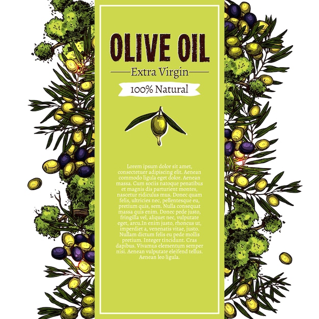 Diseño de banner de bosquejo de aceite de oliva