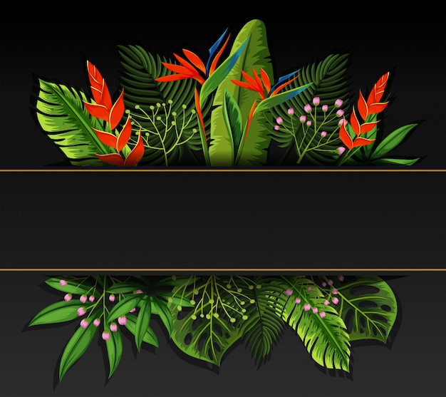 Vector diseño de banner con flores de ave del paraíso