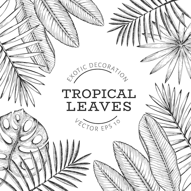 Diseño de banner de plantas tropicales.