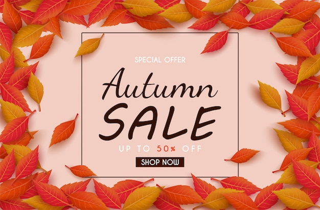 Diseño de banner de ventas de otoño con coloridas hojas de otoño estacionales. y concepto de publicidad de otoño.