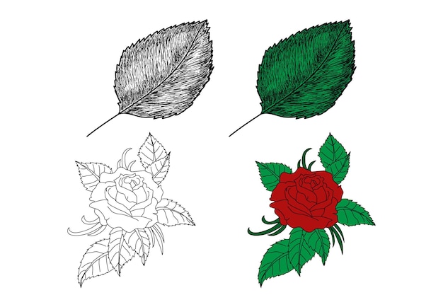 Diseño de boceto de hojas y flores de arte lineal