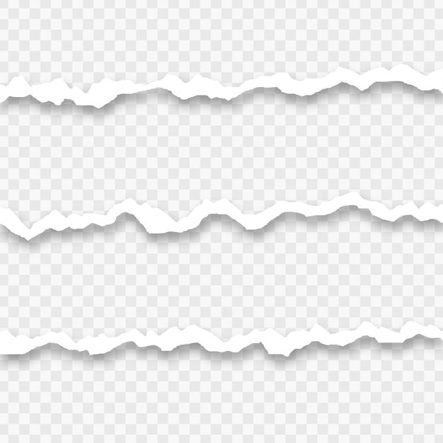 Diseño de borde de papel largo rasgado sobre fondo transparente