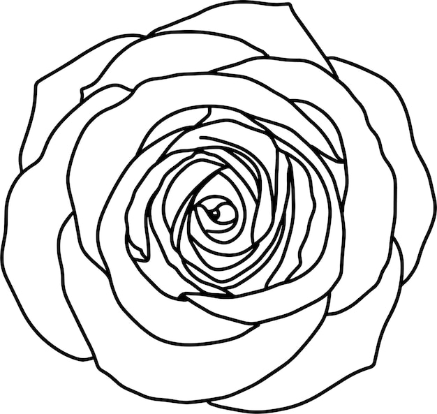 diseño botánico