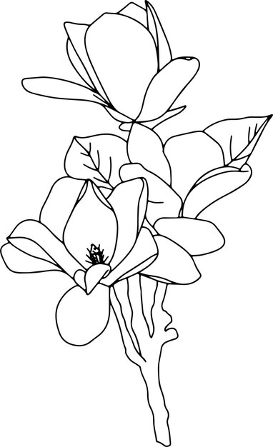 diseño botánico