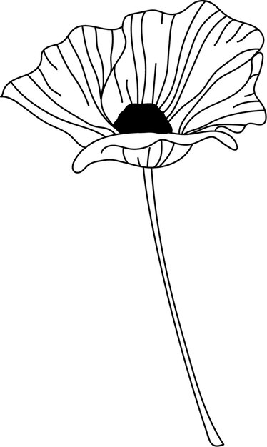 diseño botánico