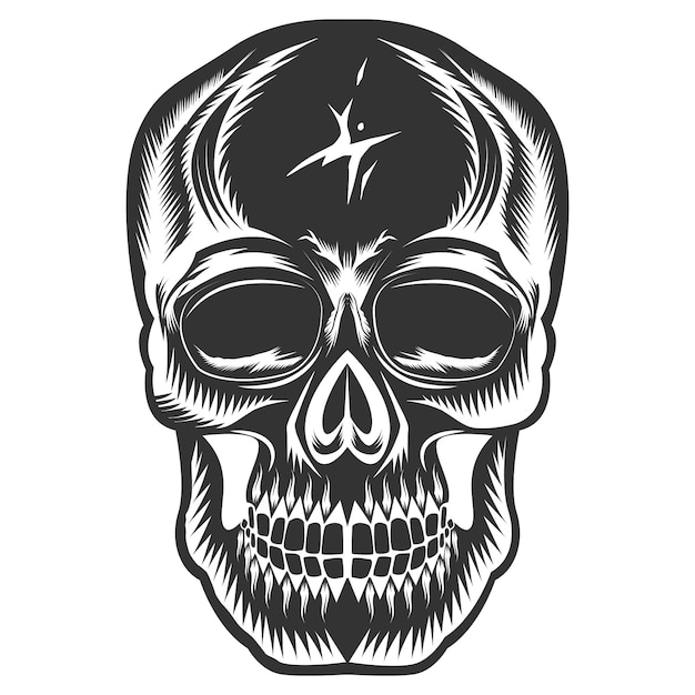 Diseño de calavera y arte vectorial de calavera