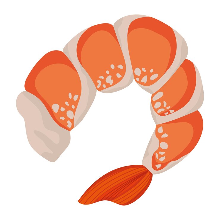 Vector diseño de camarón lindo