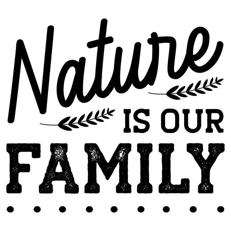 diseño de camisetas de tipografía de aventura