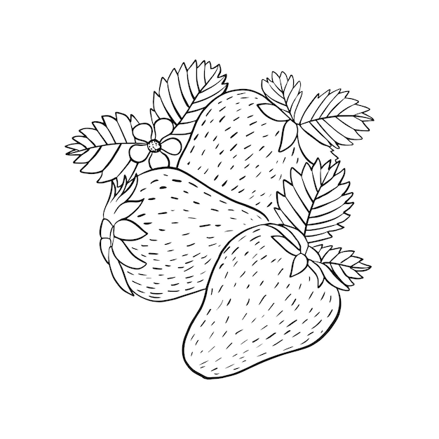Diseño de carteles de rosquillas